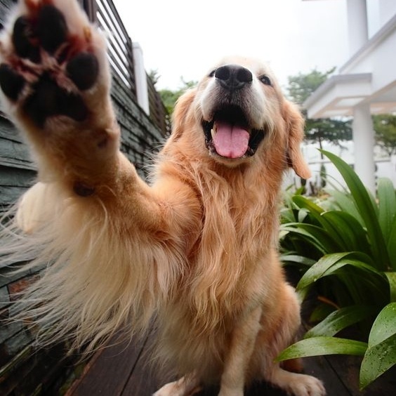 A Big High-Five next time we see you